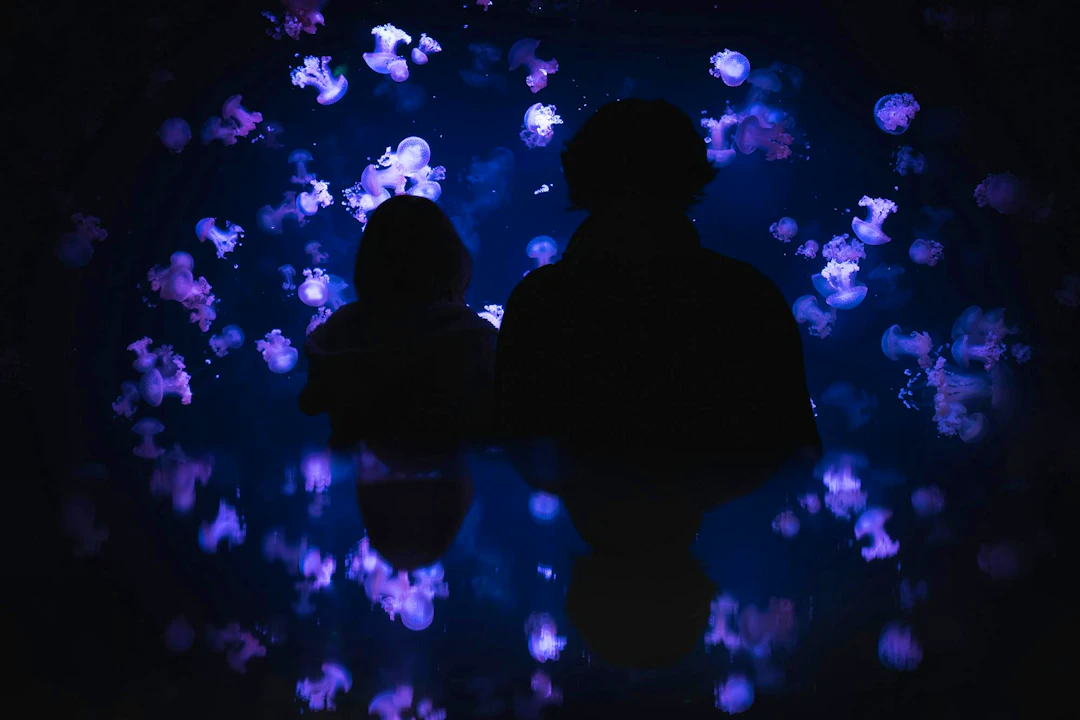 Aquarium de Paris: Entry Ticket Ticket